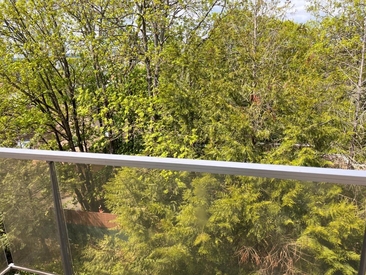 Apartament Chez Louisa-Maria Dijon Zewnętrze zdjęcie